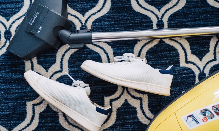 tampa bay 5 tips for maintaining clean and fresh carpets